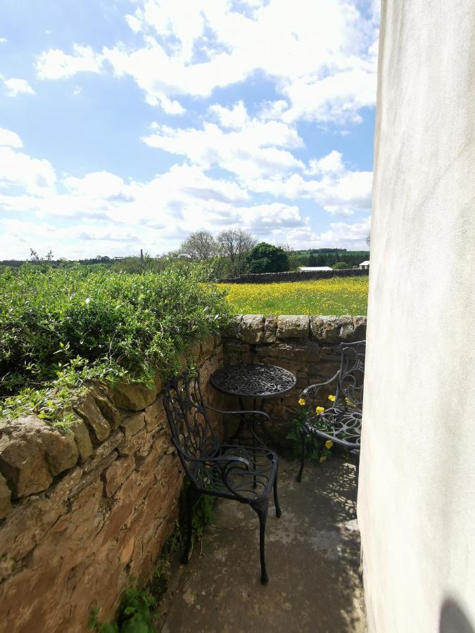 Copley Cottage Luaran gambar