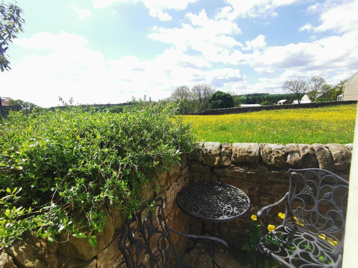 Copley Cottage Luaran gambar